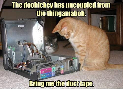 Tech Support Cats - Makenna's Website