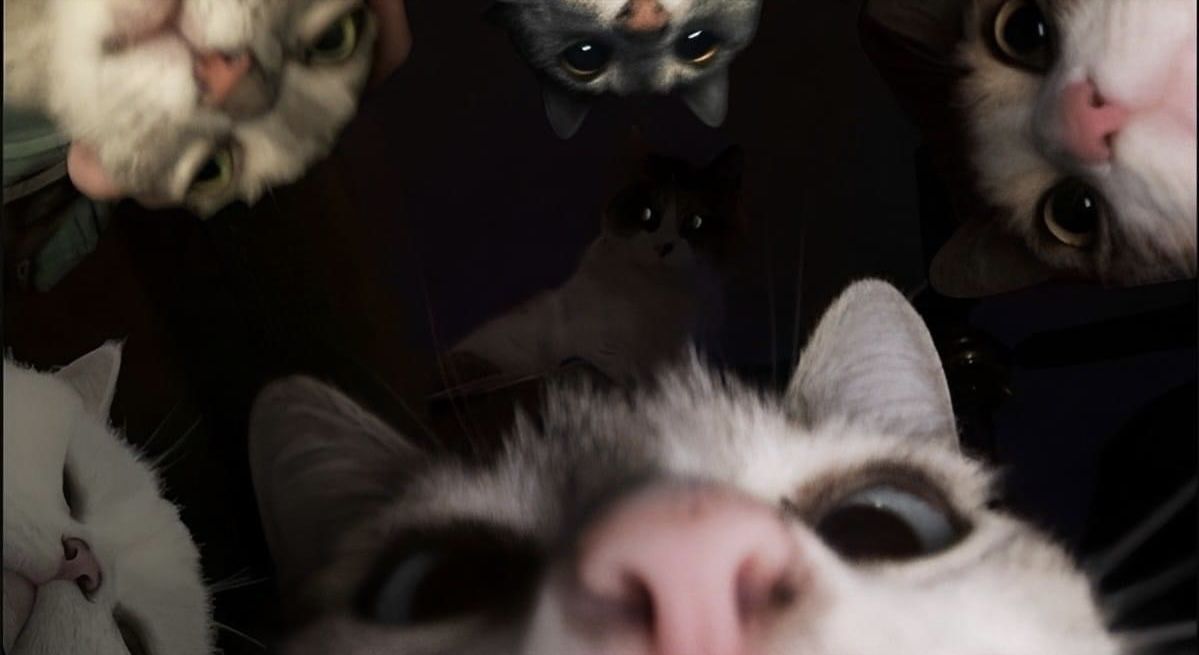 DevOps Cats - Makenna's Website